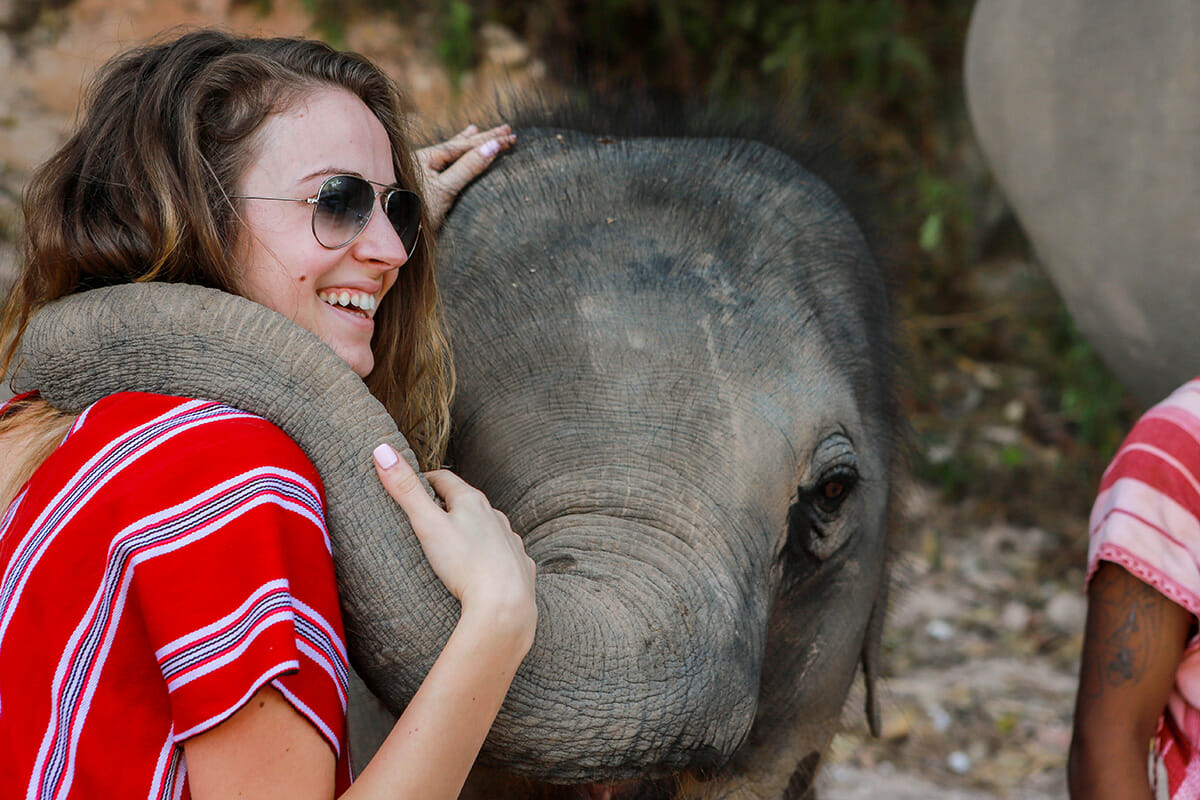 Half Day Elephant Care Program