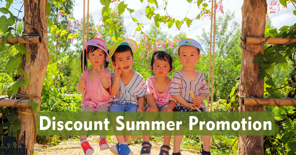 Discount Summer Promotion