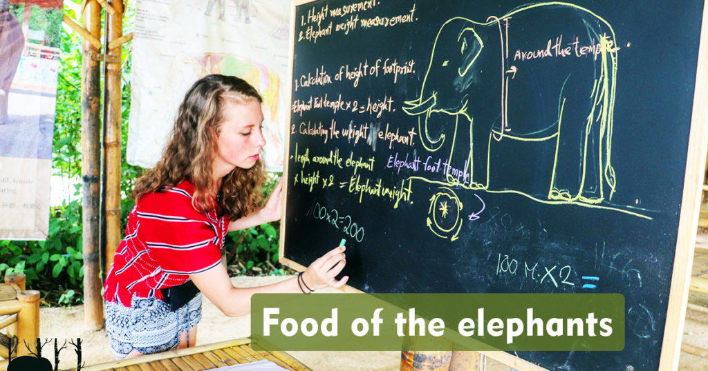 Food of the Elephants