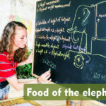 Food of the Elephants