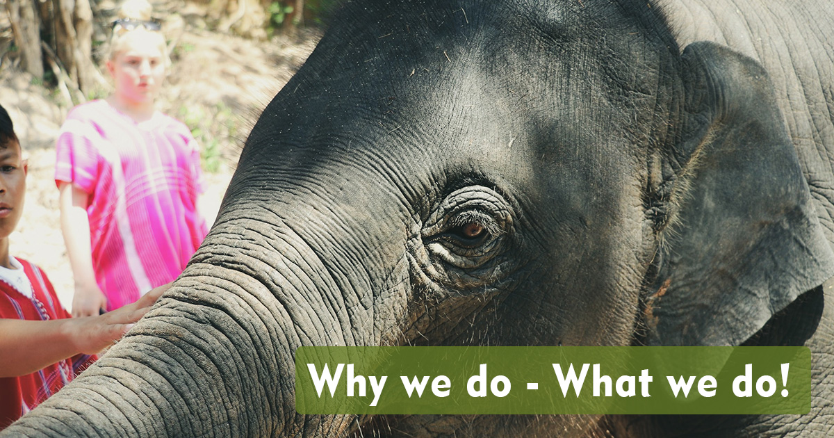 Why we do - What we do