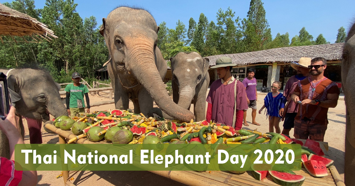 Thai National Elephant Day 2020