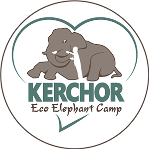 Kerchor ECO Elephant Park and Elephant Sanctuary in Chiang Mai