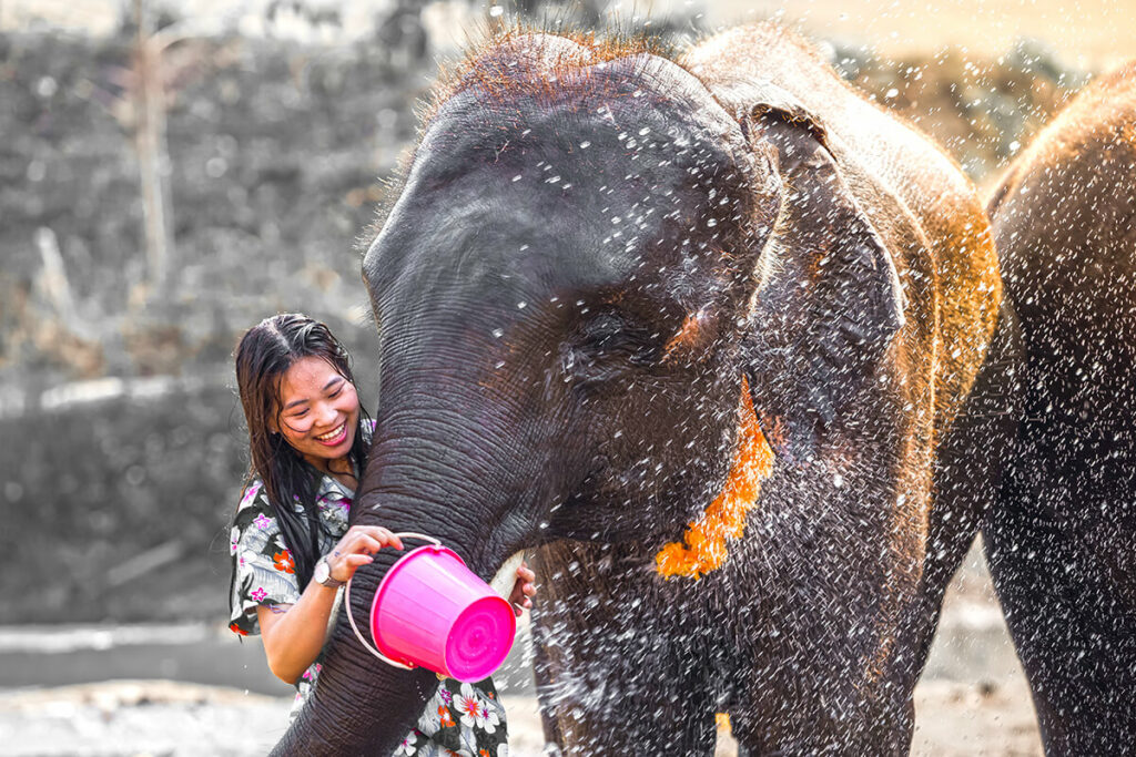 Songkran Festival 2023